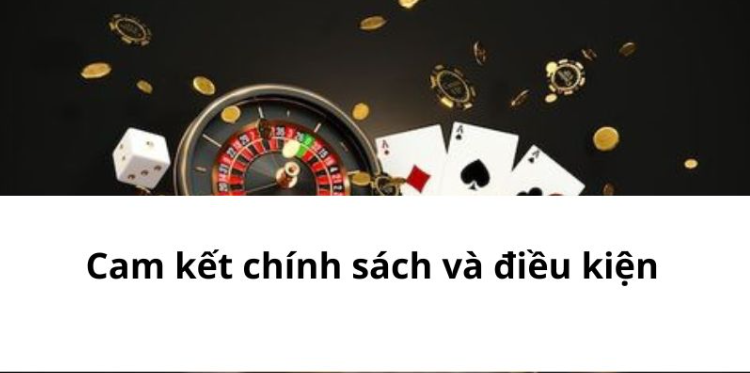 Cam kết chính sách và điều kiện